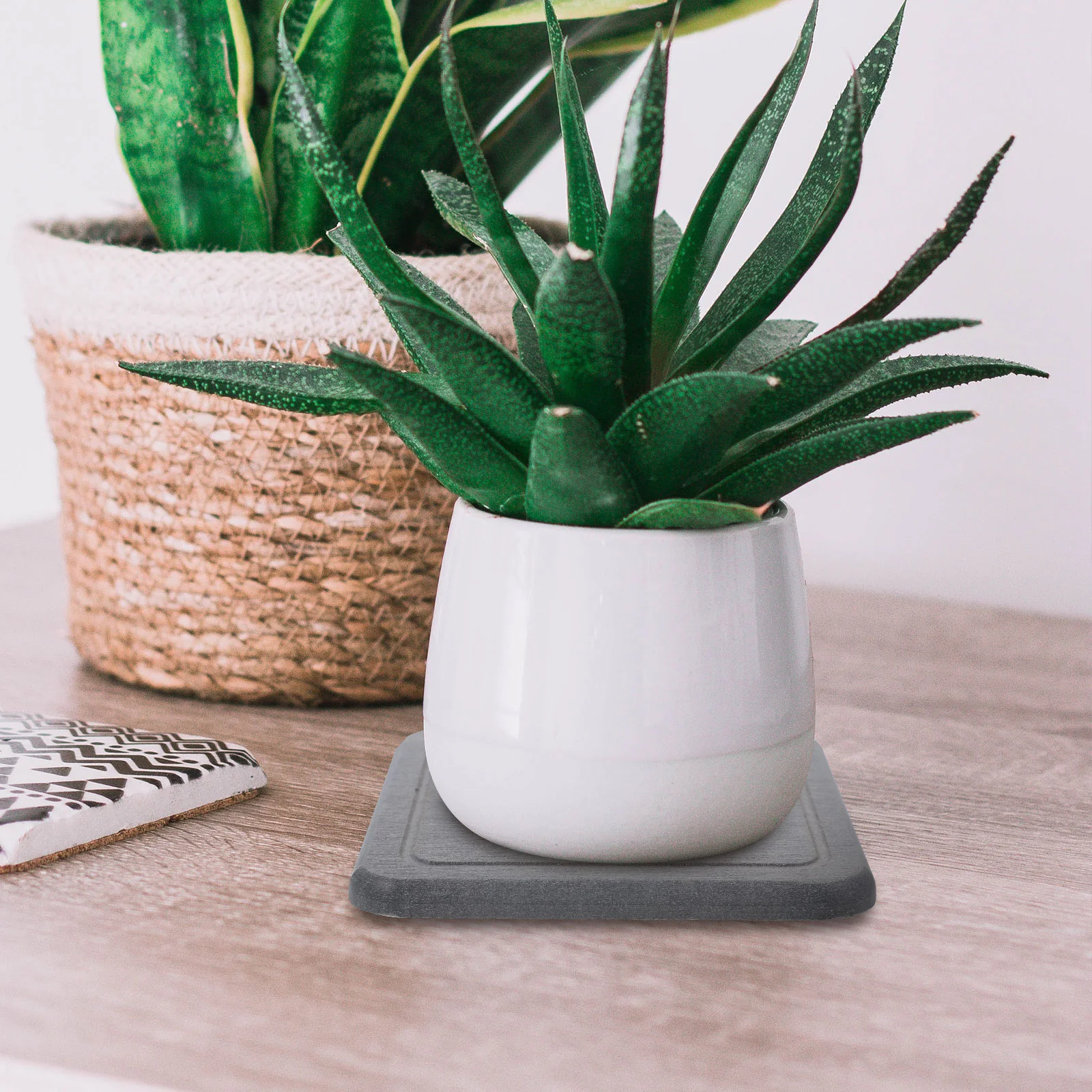 4 шт. коврик для цветочного горшка из диатомовой грязи водопоглощающие коврики