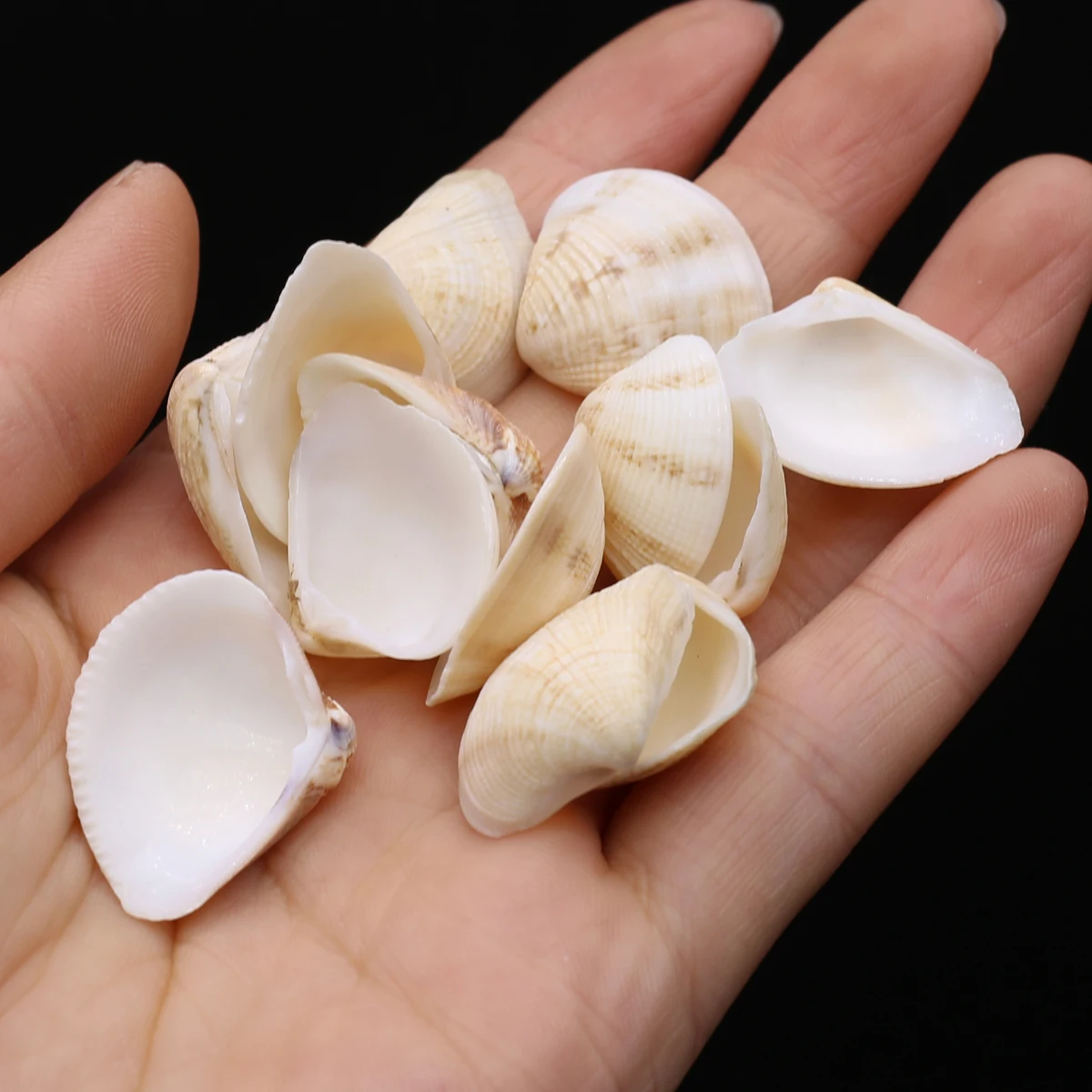 

100g Natural Beach Shell Beads Loose Spacer Bead for Jewelry Making Diy Necklace Bracelet Decorate Home Accessories