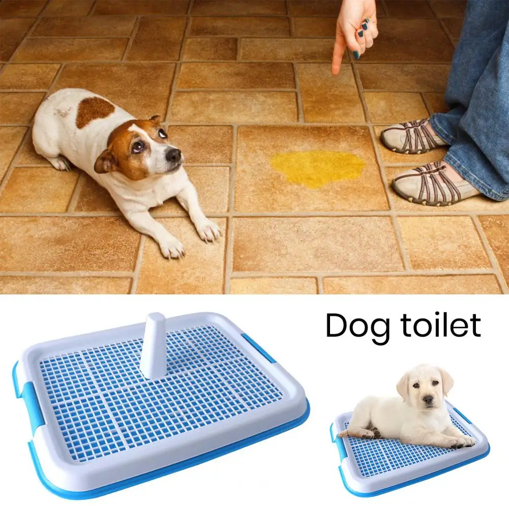 For Dogs Cats