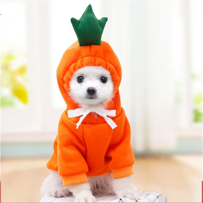 

Winter Warm Cute Fruit Dog Clothes for Small Dogs Hoodies Pet Clothing Puppy Cat Costume Coat for French Chihuahua Jacket Suit