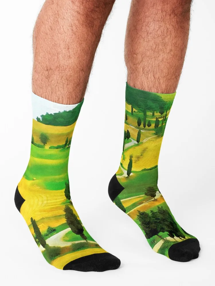 Chianti тосканные носки снежные незаменимые Спортивные Чулки компрессионные