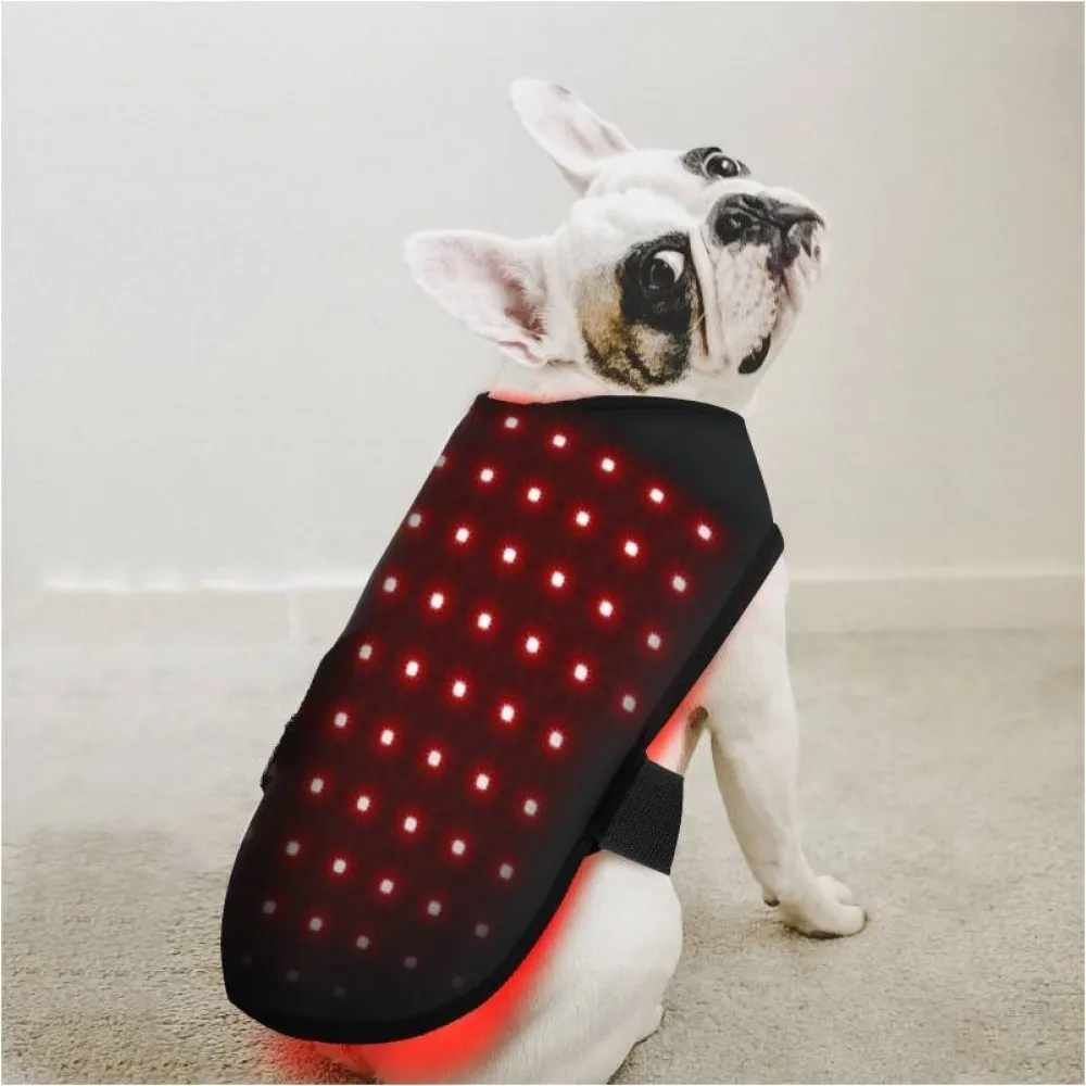 Жилет для физиотерапии домашних животных красная желтая жилетка кошек собак