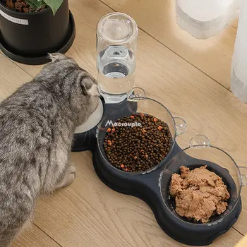 Haustier Katze Schüssel automatische Zuführung 3-in-1 Hund Katze Futter Schüssel mit Wasser brunnen Doppels ch üssel trinken angehoben Stand Geschirr Schalen für Katzen 2
