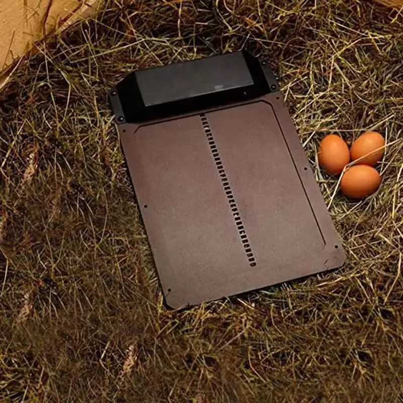 Автоматический Дверной светильник для курятника умный Нож домашней птицы