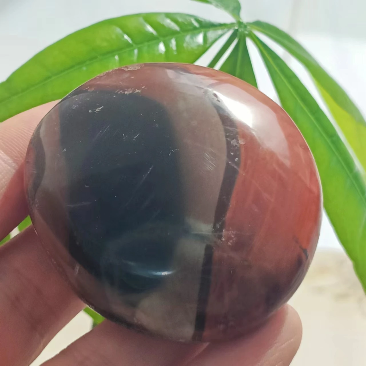

Beautiful Natural Marine Jasper Palm Healing Energy Stone Home Decoration Office Accessories
