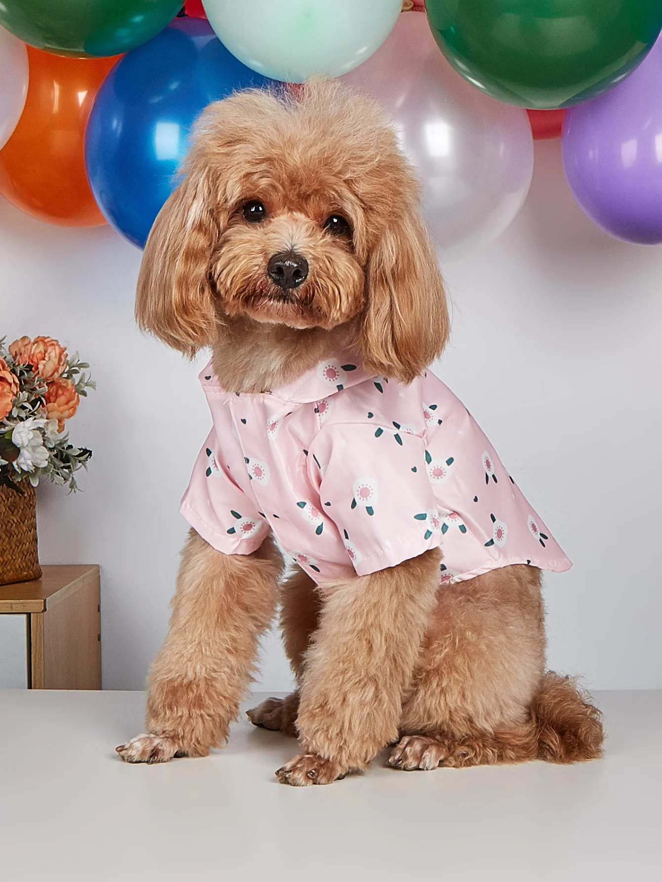 

1 piece pet raincoat dog outing clothing pet waterproof clothing dog cute cartoon raincoat pet clothing