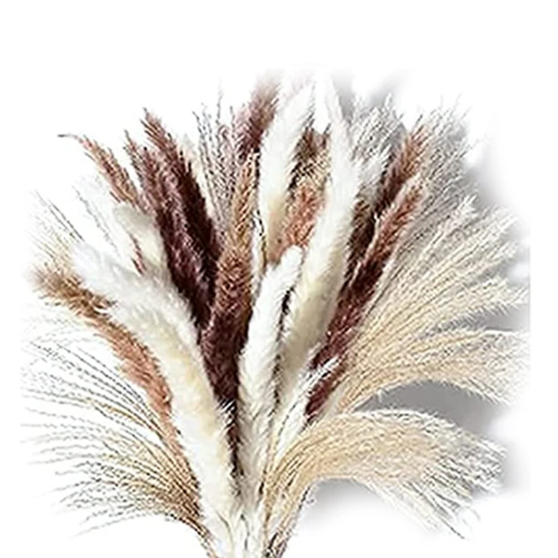 

LBER Pampas Grass,80 Pcs Dried Pampas Grass Decor Tall 17Inch,Natural White & Brown Pompous Grass Boho Wedding Home Decor