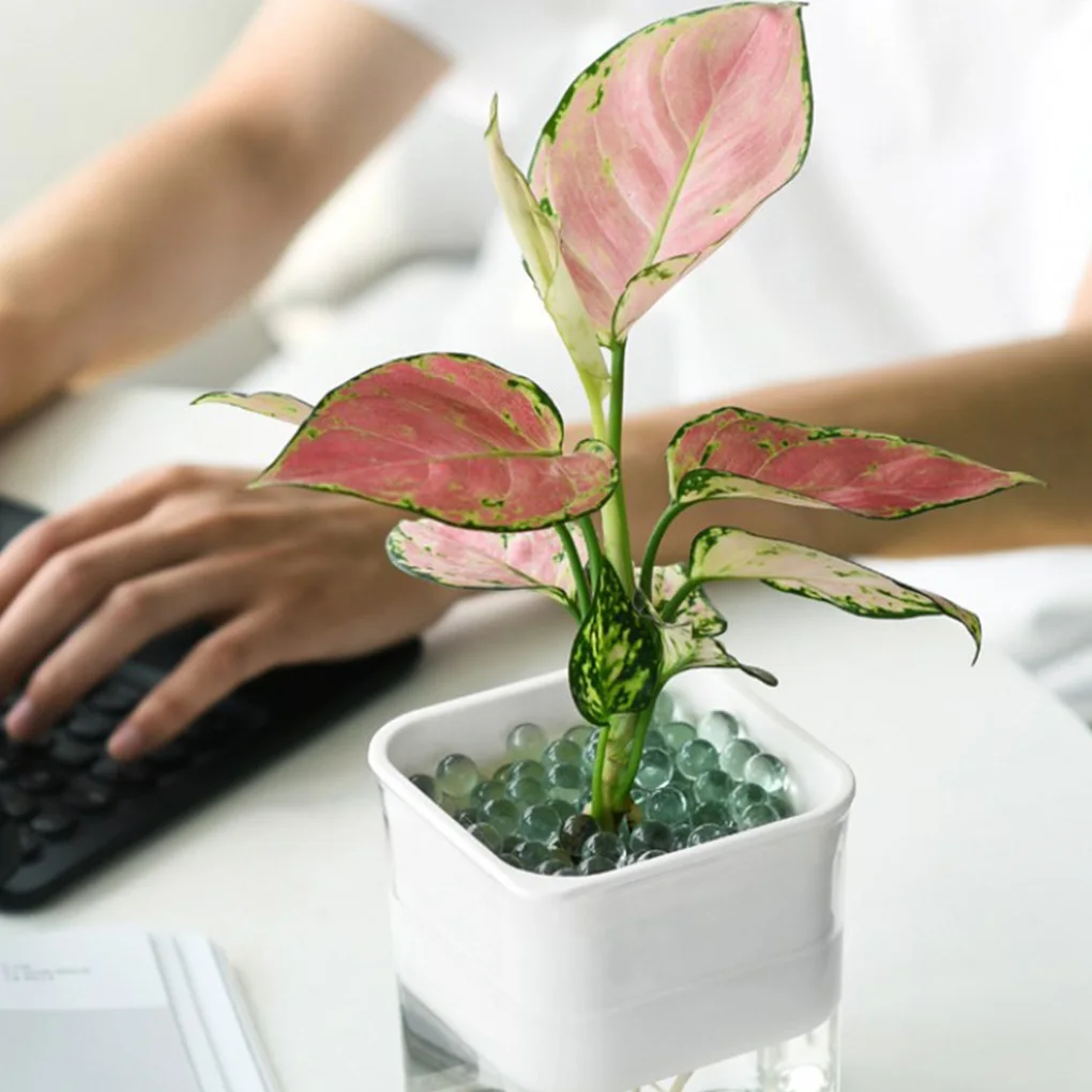 

Automatic Water-absorbing Flowerpot Potted Hydroponic Plant Flower Pot PP Home Indoor Breeding white plant pots flower pot