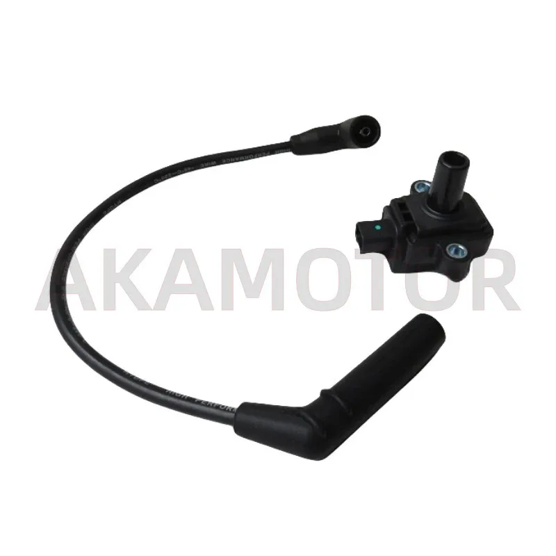 Катушка зажигания/жгут для Loncin Voge Lx200-18 200r 200-19