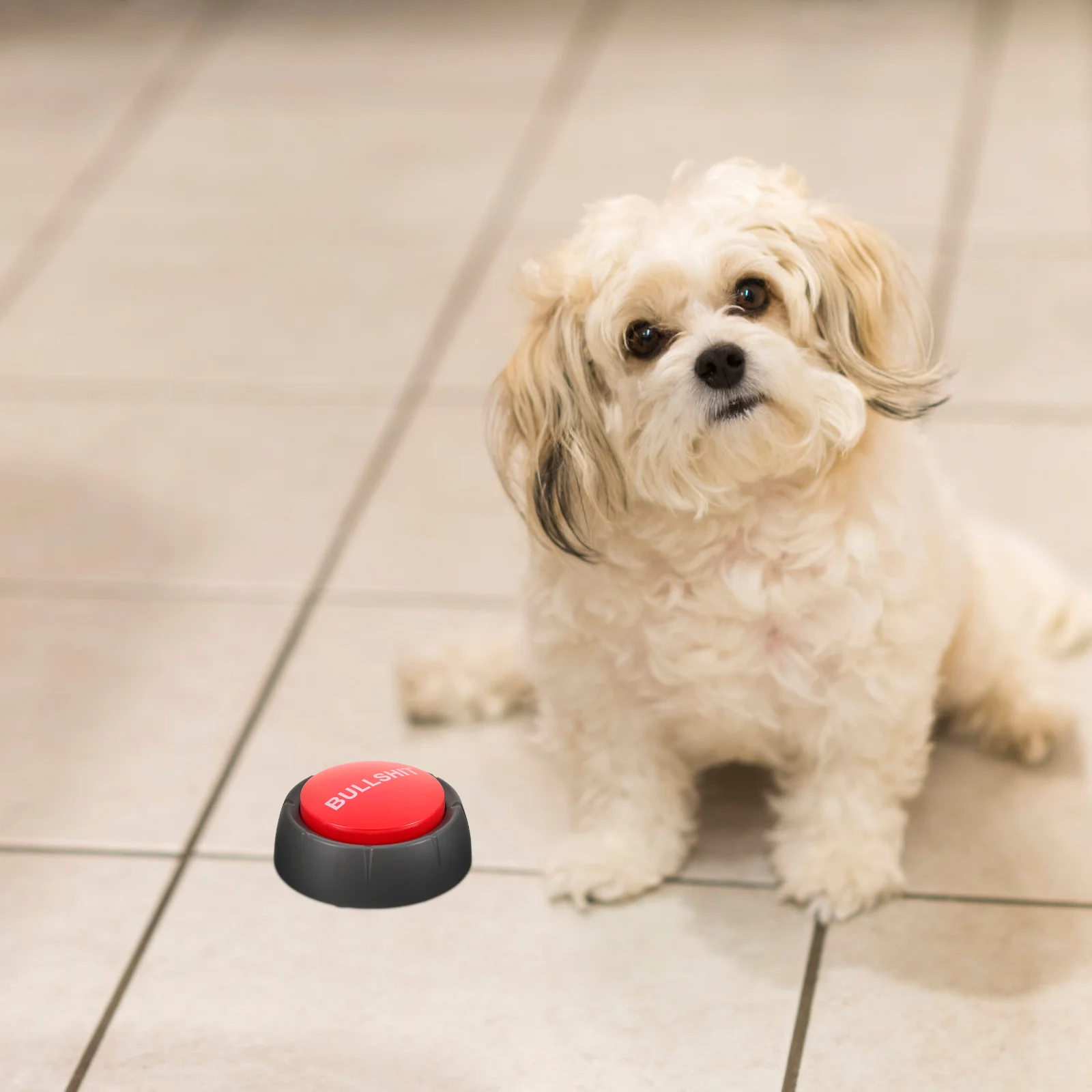 

Recording Button Dog Training Buttons That Talk Talking Glow Toys Plastic