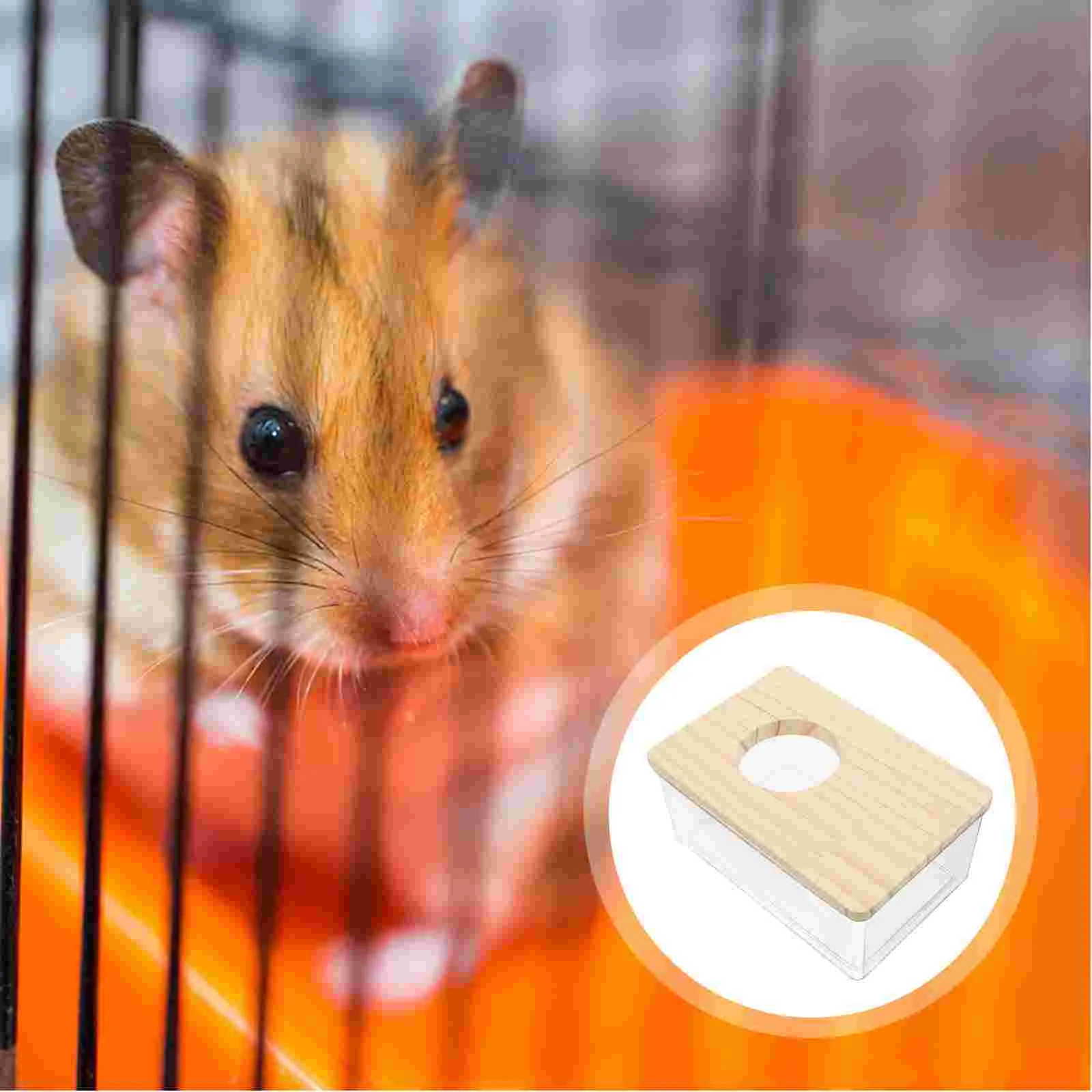 Прозрачный домик для ванны хомяка контейнер песочной маленьких животных клетки