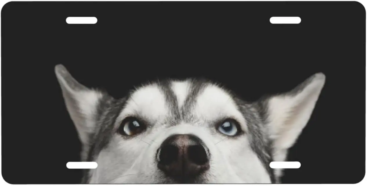 

Cute Lovely Husky Puppy Dog Animal Blue Eyes Aluminum License Plate Decorative Metal Car Front License Plate Cover with 4 Holes