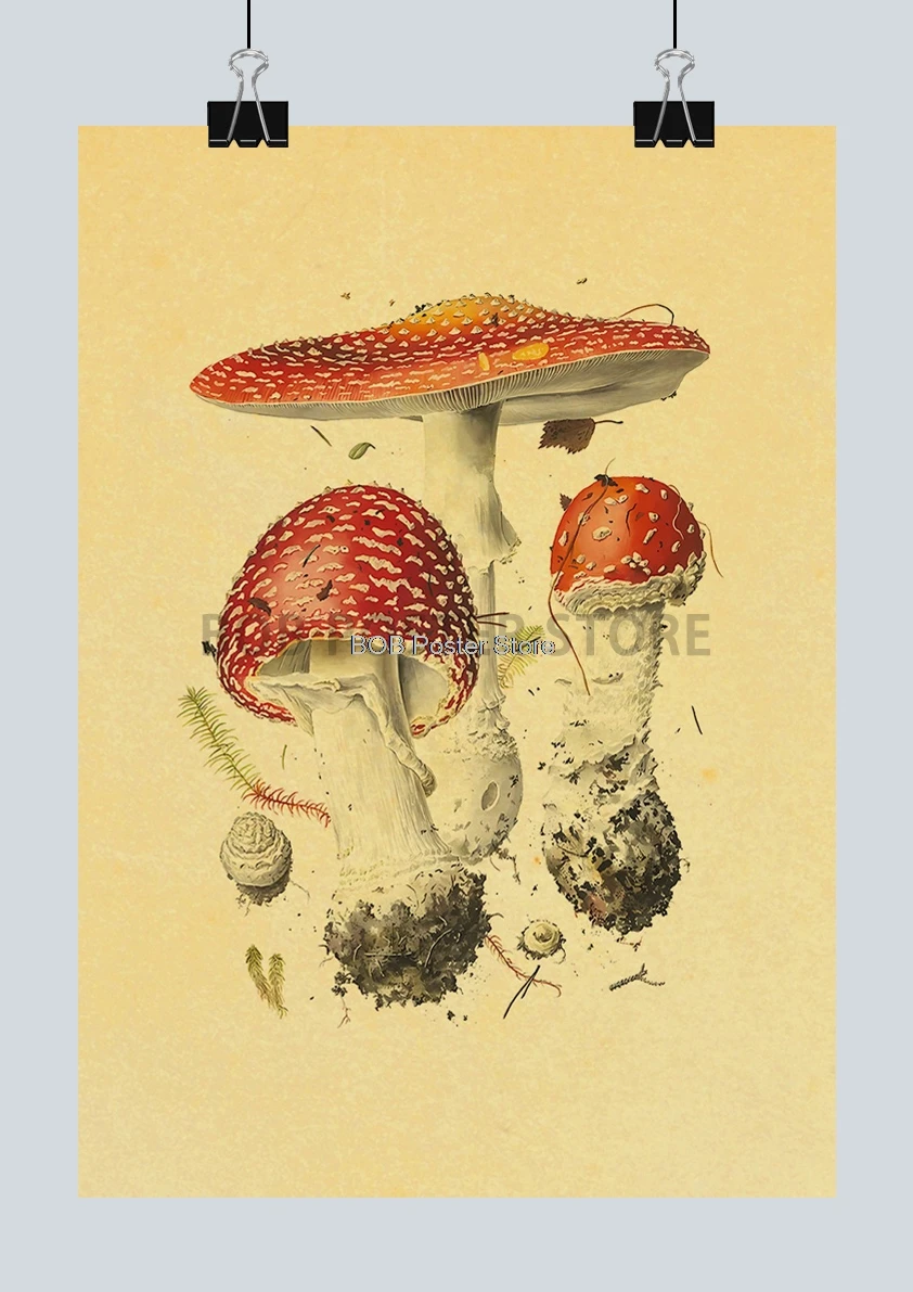 

Набор наклеек на стену "Различные образцы грибов", Lanxihaibao