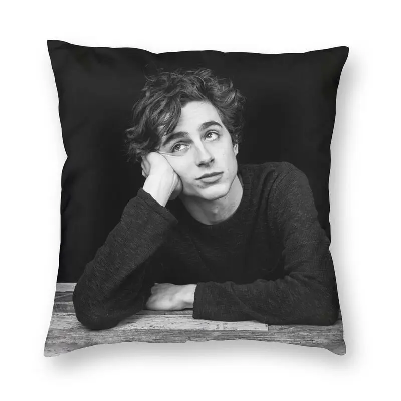 

Timothee Pattern Cushion Cover Double Side Printed Fashion Car Floor Pillow Case Home Decoration
