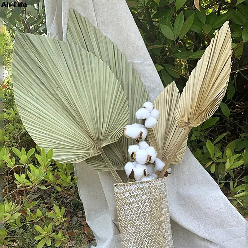 

1pc hot Palm Fan Leaf Dried Flower Palm Leaf Window Reception Party Art Wall Hanging Decoration Wedding Arch Arrangement