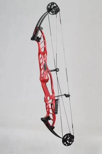 Струтофрический точный композитный лук для конкурентоспособной стрельбы из