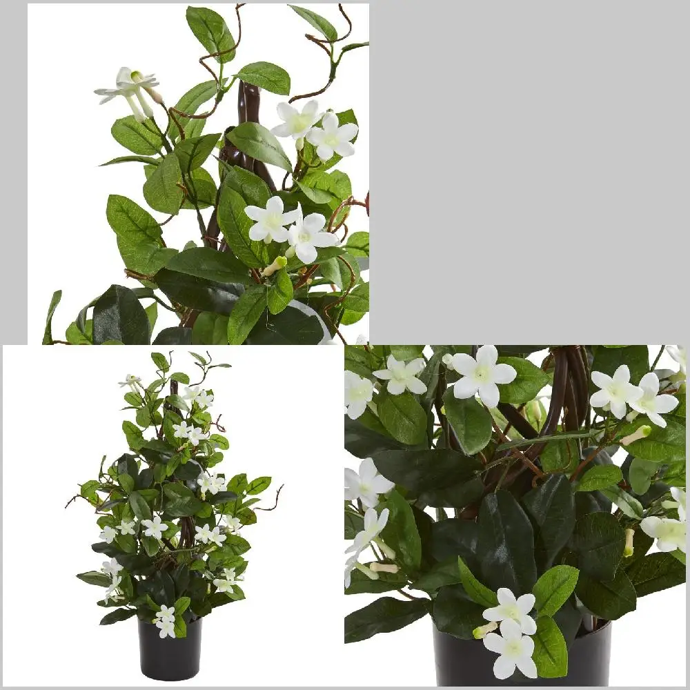 

Stems, Delicate Pretty Flower 【Delicate Pretty Stephtanotis Artificial Climbing Plant with White Stems】