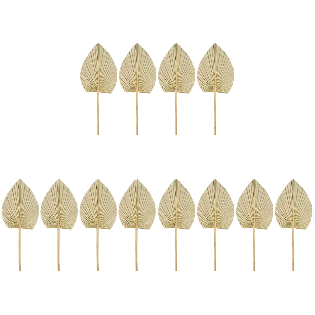 

Palm Dried Decor Wall Flowers Leafwedding Tropical Bouquet Flower Decorationpampasbranches Hanging Leaves Natural