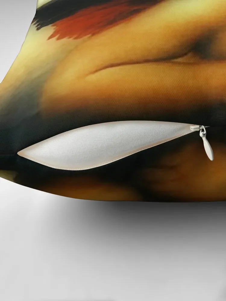 Рафиаello Sanzio da Urbino Sistine Madonna(angel 1) 1513-1514. Декоративная подушка для комнаты аниме