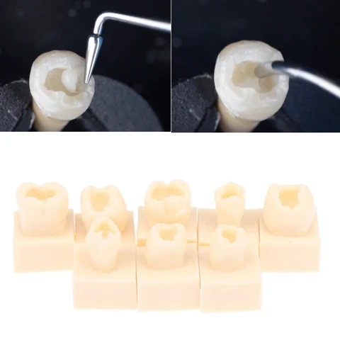Модель для практики наполнения зубной смолой JIECARE 8 шт.