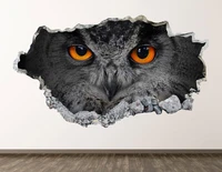owl wall decal animal 3d smashed wall art sticker kids room decor vinyl home poster personalized gift kd470