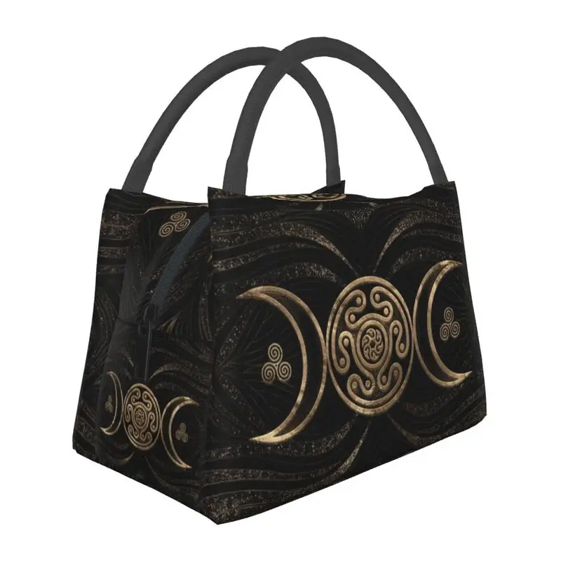 

Hand-held insulated refrigerated simple style lunch bag is convenient attractive, cute, suitable for four family friends picnics