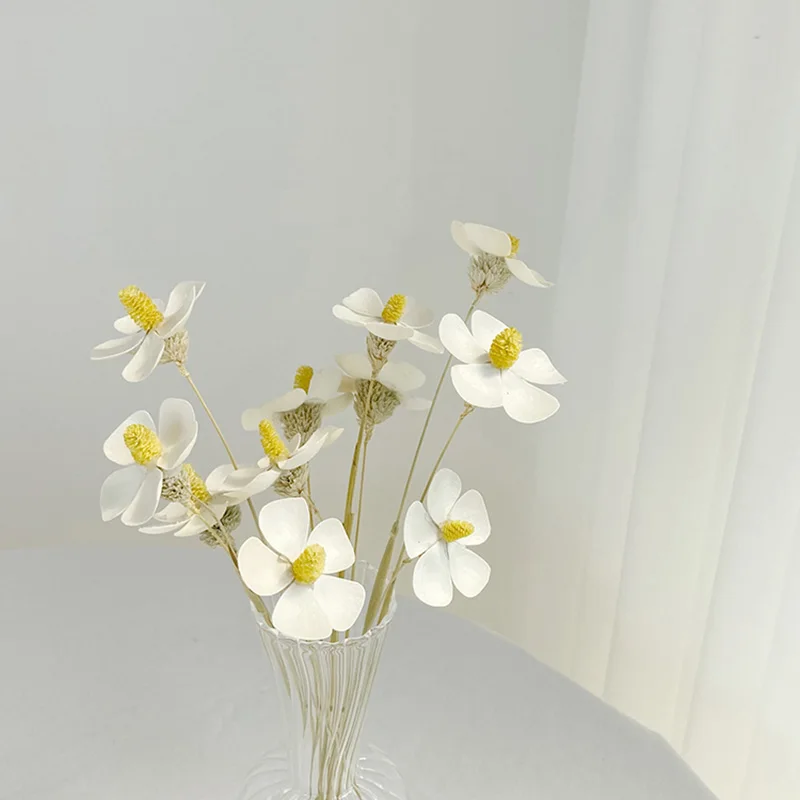 

12Pcs/Lot 30g Small Fresh Dried Flower Voilets Multiple Color Janpanse Style Home Decro