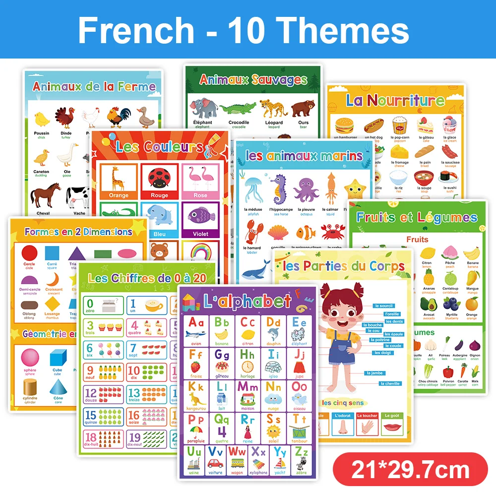 Laminiert Französisch Lernen Diagramm für Kinder Große Karten Spielzeug Schule Classroom Dekoration A4 Poster Pädagogisches Spielzeug Lehrmittel