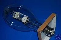 Bulb