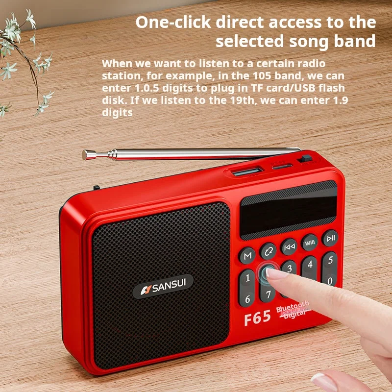 Фото Shanshui F65 Портативное FM-радио MP3 Walkman TF/USB Bluetooth Беспроводной динамик Спорт на открытом воздухе Мини-цифровая машина для заказа песен №5