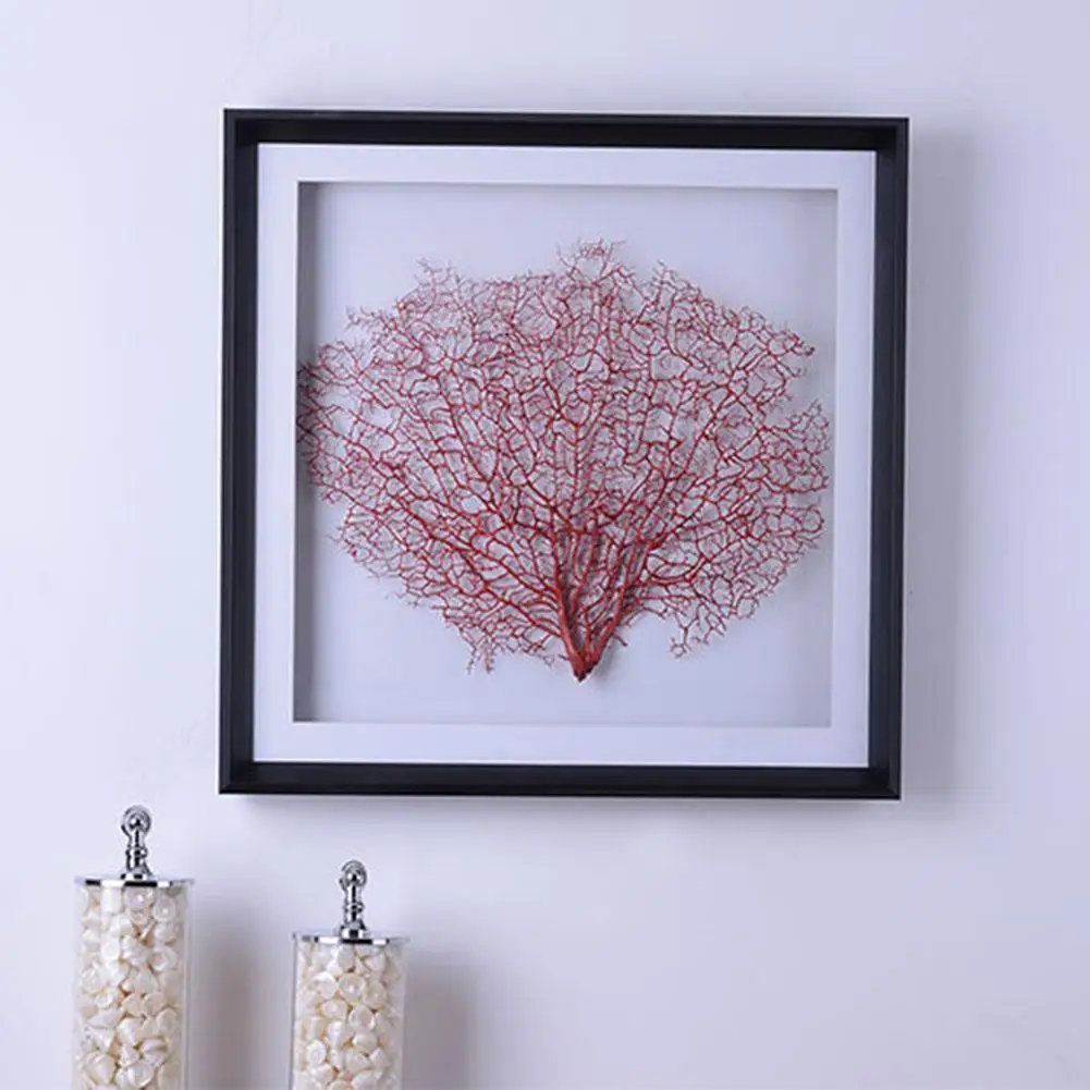 Натуральный ракушка красная морская ива железная подводная лодка украшение