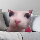 Bingus квадратный чехол для подушки из полиэстера и льна, бархатный декоративный чехол для подушки на молнии, чехол для автомобильной подушки