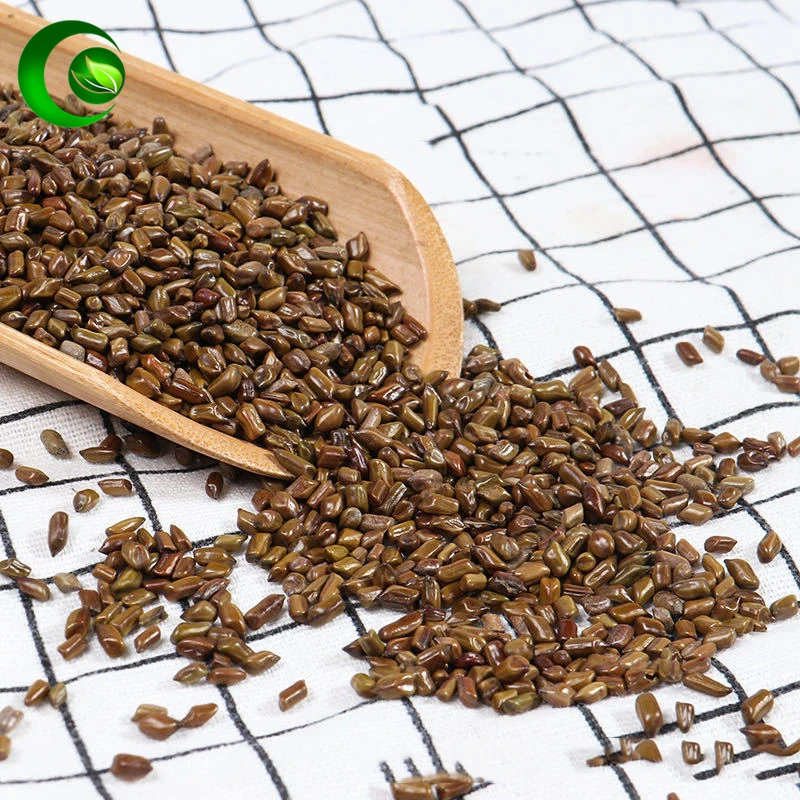 Кассия семена кассии кетсумиши резюме потеря веса порошок цзюэ Минг Цзы |