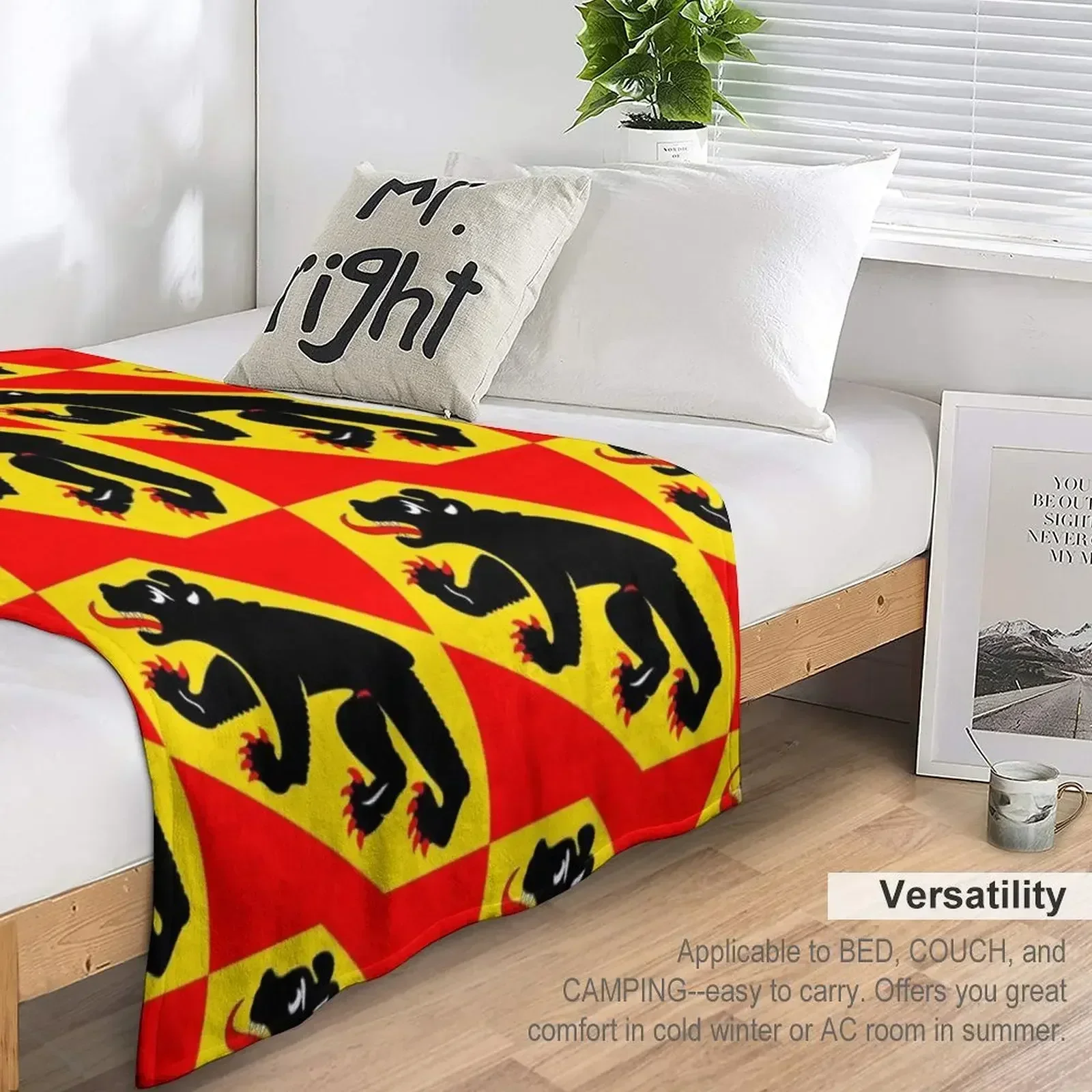 Одеяло с флагом Берна Кантона модные диваны роскошное одеяло для дивана одеяла