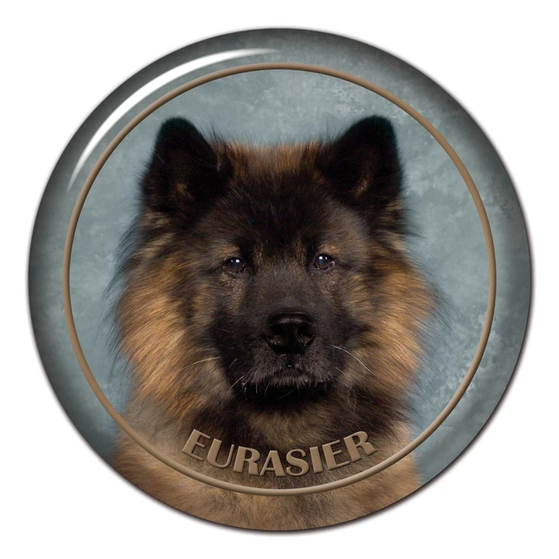 Наклейка на автомобиль Eurasier Dog V1 13 см/17 см - купить по выгодной цене |