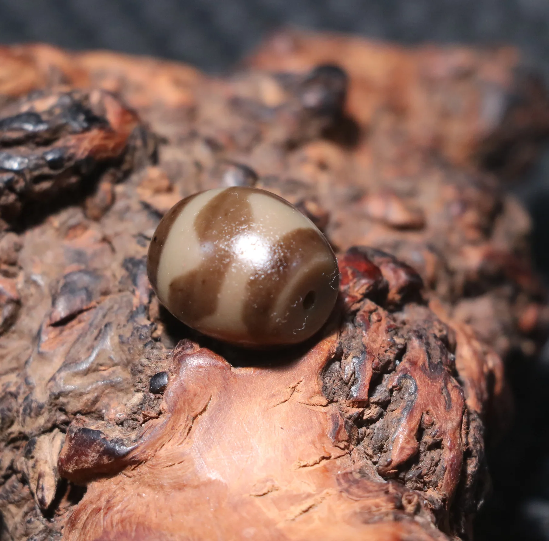 Энергетический тибетский старый агат патина цвета слоновой кости зуб тигра