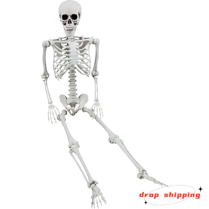 

XONOR 5.4ft/165cm Halloween Skeleton - Halloween Human Skeletons Full Body Bones with Movable Joints for Halloween Props Spoo