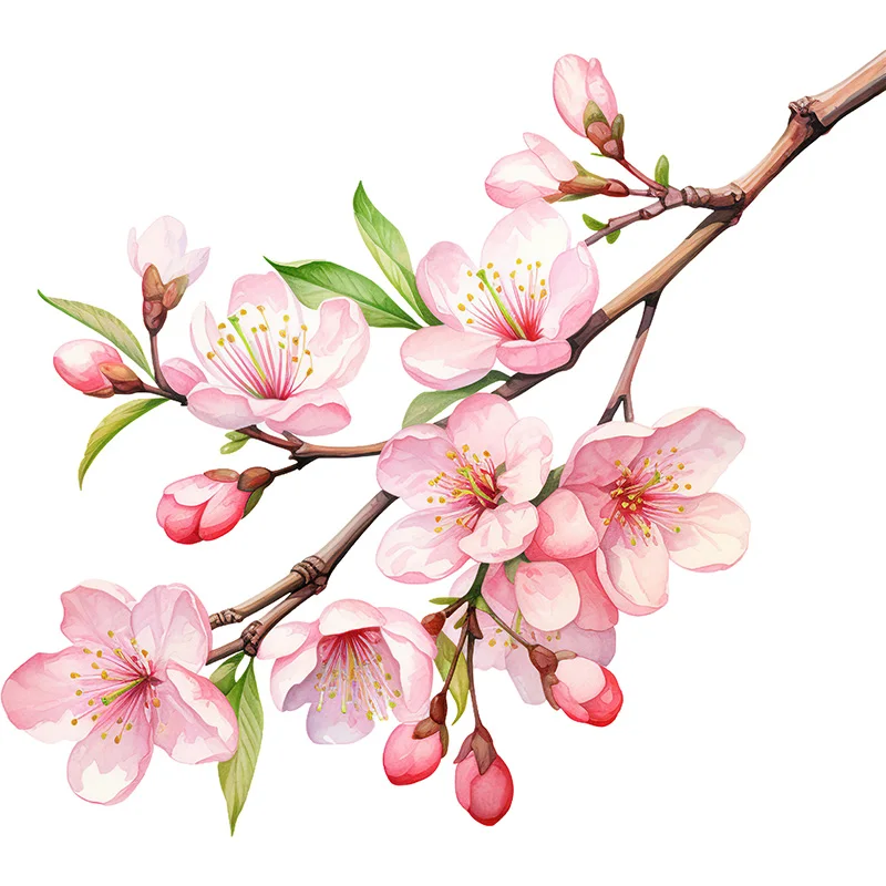 

Вишневые наклейки MT750#