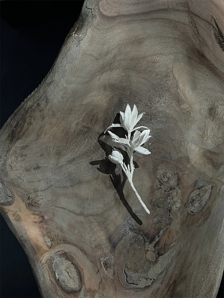 ZHUHE брошь с жасмином серьги для женщин ретро-стиль ювелирные изделия из медного