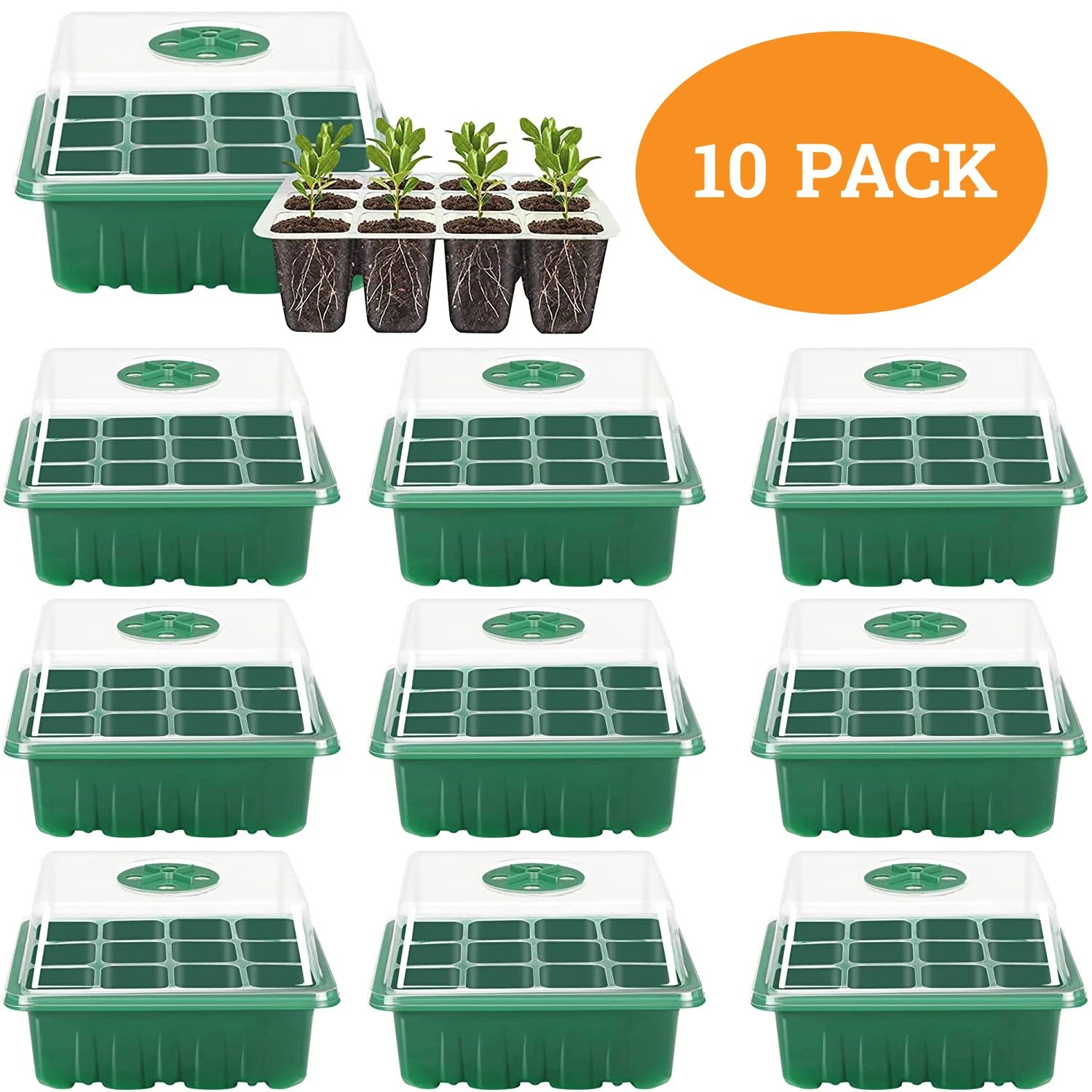 

6/12 Cells Seed Starter Kit Plant Seeds Grow Box CSeedling Trays Germination Box with Dome and Base for Seeds Growing Starting