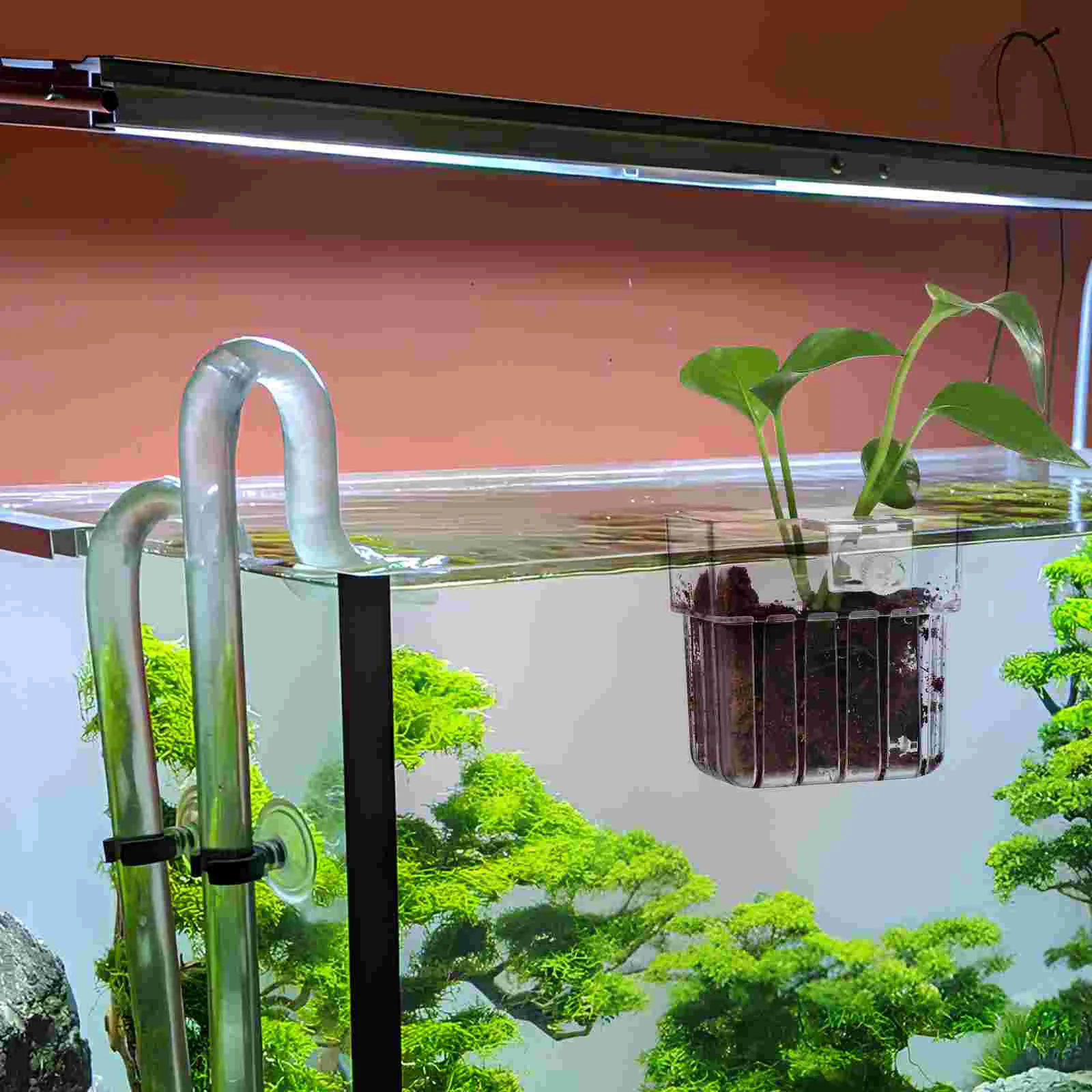 4 шт. гидропонная чашка для растений аквариумный горшок прозрачные корзины