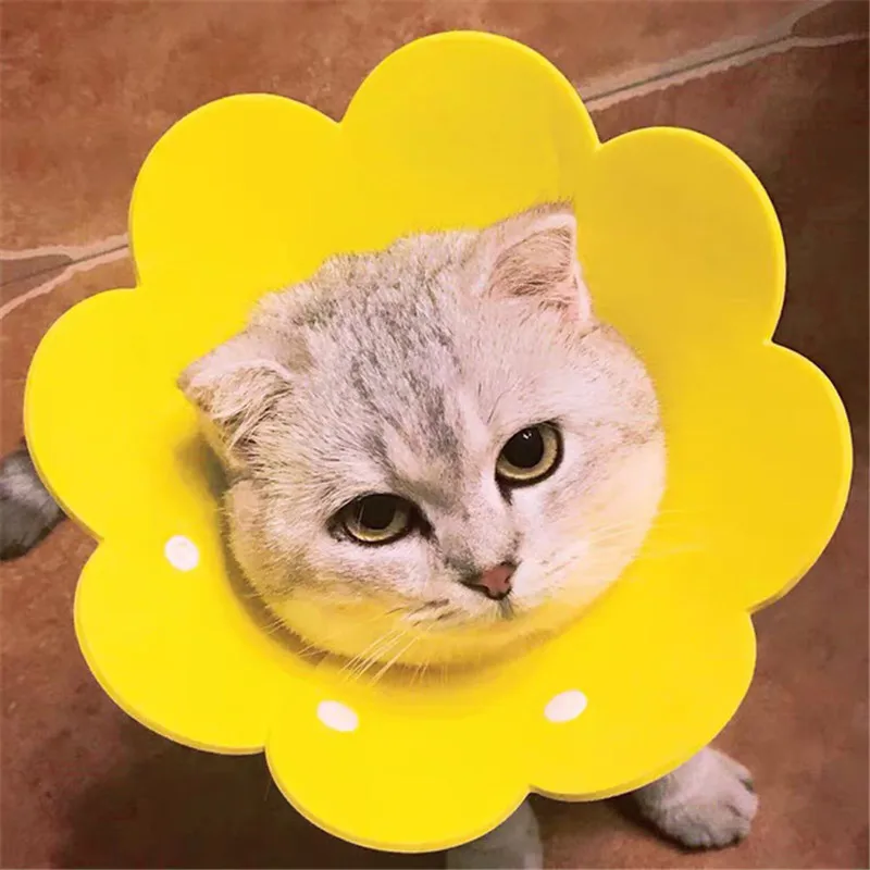 

Felt Cat Collar Elizabeth Circle Cat Sun Flower Collar Felt Pet Products Anti-Licking Chihuahua Breakaway Luxury with Bell