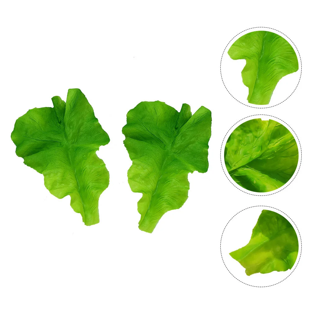 

Lettuce Vegetable Fake Props Kitchen Decor Prop Leaves Artificialhome Faux Photo Store Leaf Pvcsimulation Photographymodel