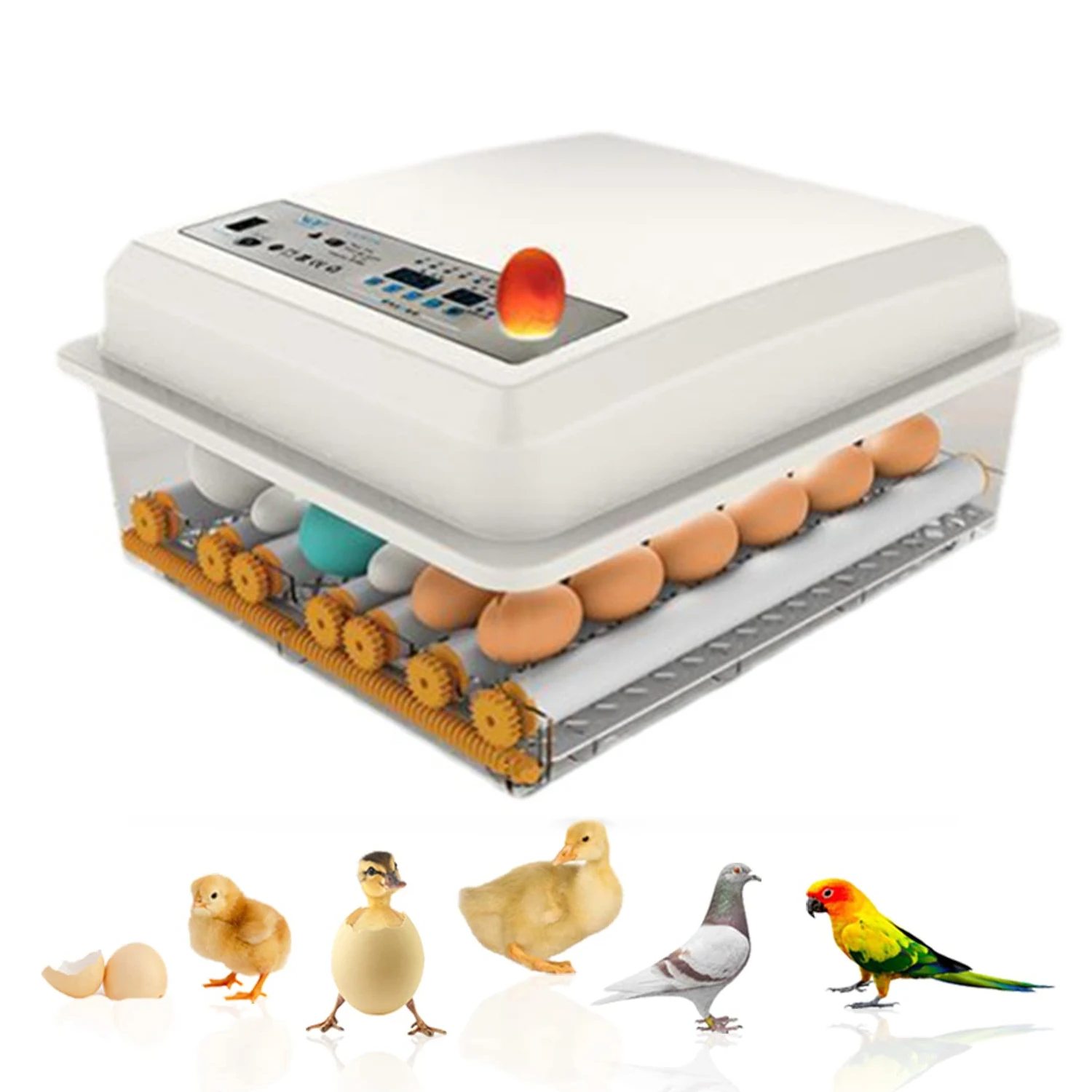 

Eggs Incubator Brooder Bird Quail Chick Hatchery Incubator 16 Eggs 220V Poultry Hatcher Turner Automatic Farm Incubation Tools