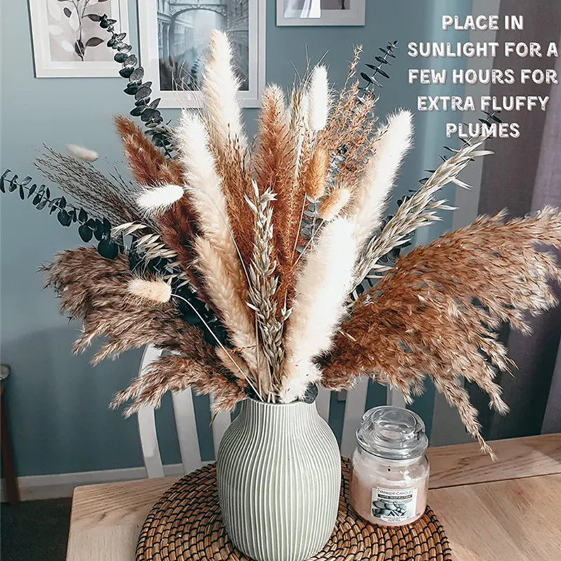 

100PCS Wholesale Natural Dried Phragmites Eucalyptus Pampas Grass Bouquet Bohemian Home Decor Beauty Flowers Wedding Ornaments