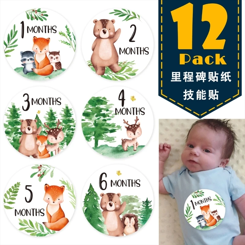 

Baby Monthly Milestone Sticker Baby MilestoneSigns Circles Milestone Discs Photo