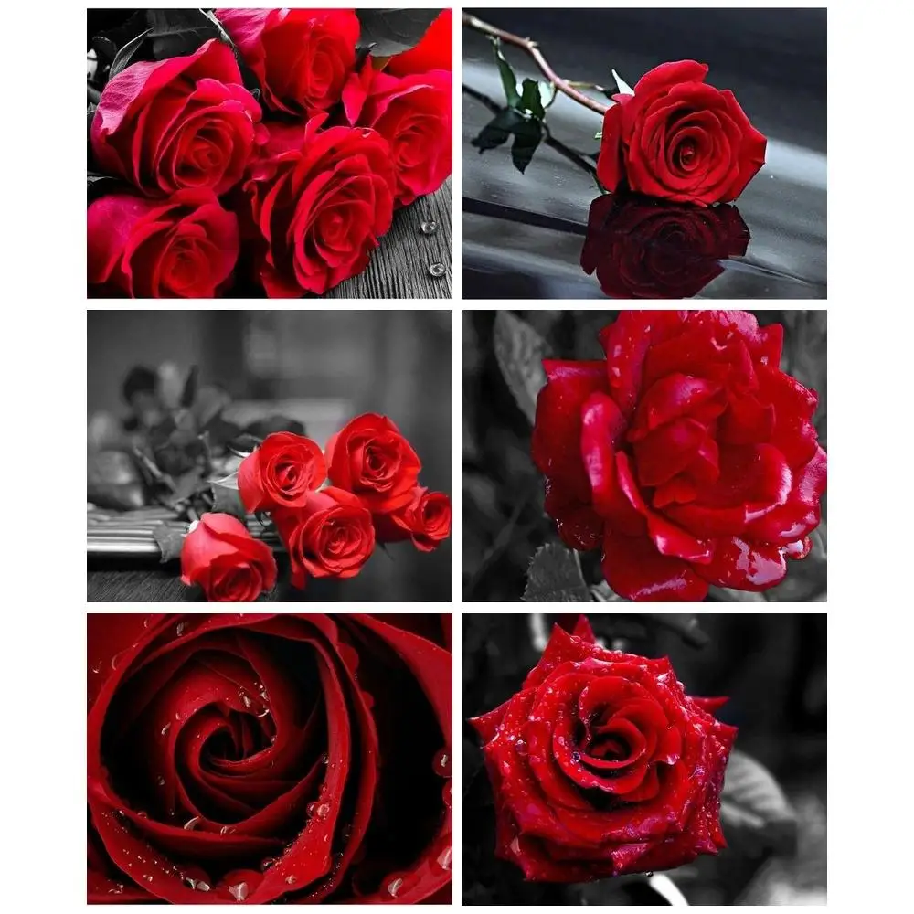 

CHENISTORY Paint By Number Roses Drawing On Canvas Gift Diy Pictures By Numbers Kits Handpainted Flower Art Home Decor