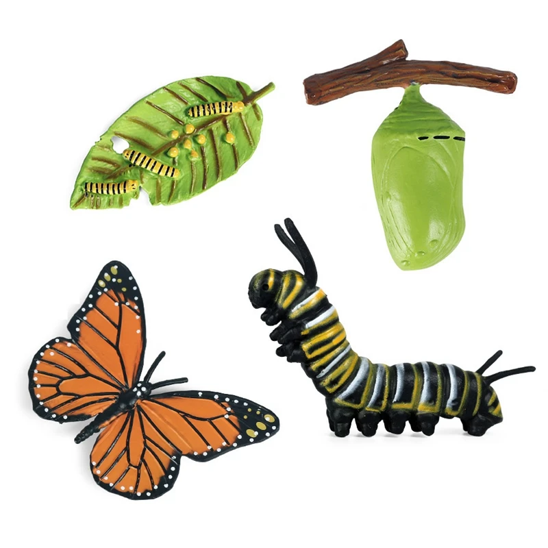 

Simulation Life Cycle Figurine of a Monarch Butterfly Growth Cycle Insect Animals Educational Biology Science Toy