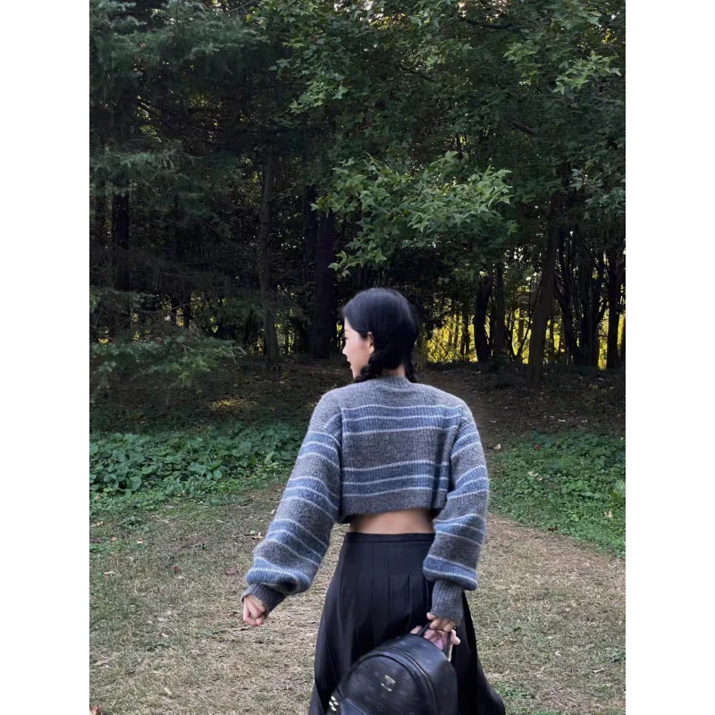 Рисунок 6 - Женский укороченный свитер в полоску