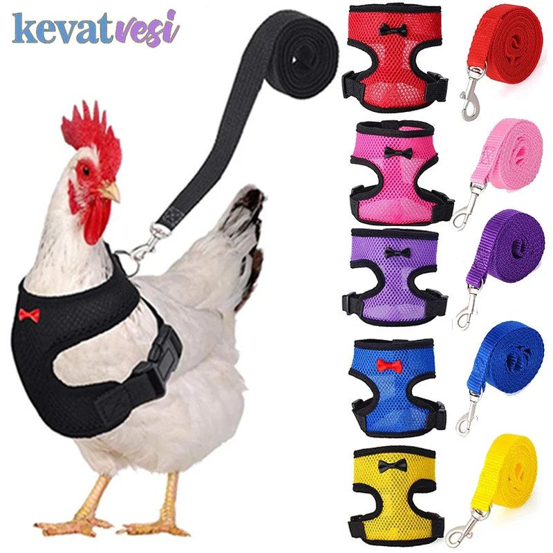 Adjustable Chicken vest Harness Breathable mesh Hen Harness Matching Collars Training Walking Duck Goose chicken accessories